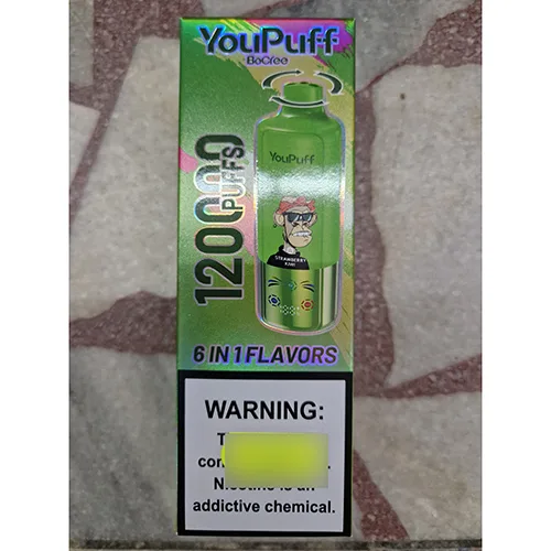 Disposable electronic cigarette