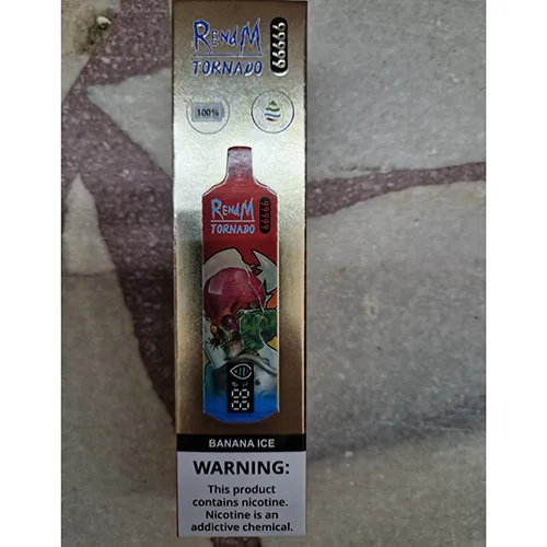 Disposable electronic cigarette