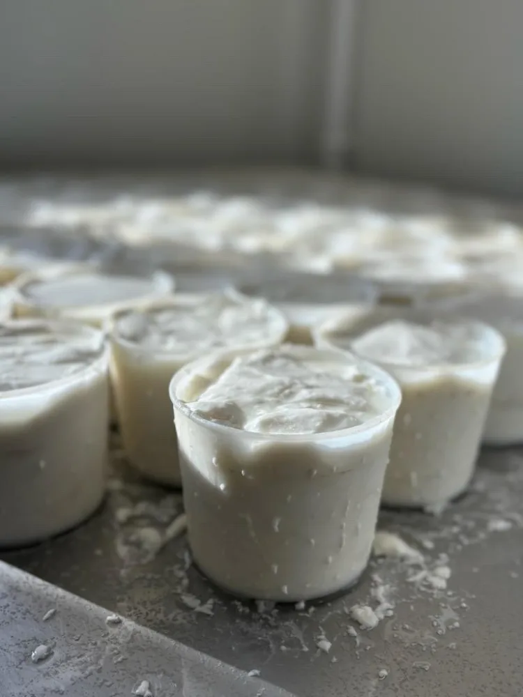 Fromages de chèvre ronds, pyramides, bûches, crottins, crottins aromatisés et faisselles