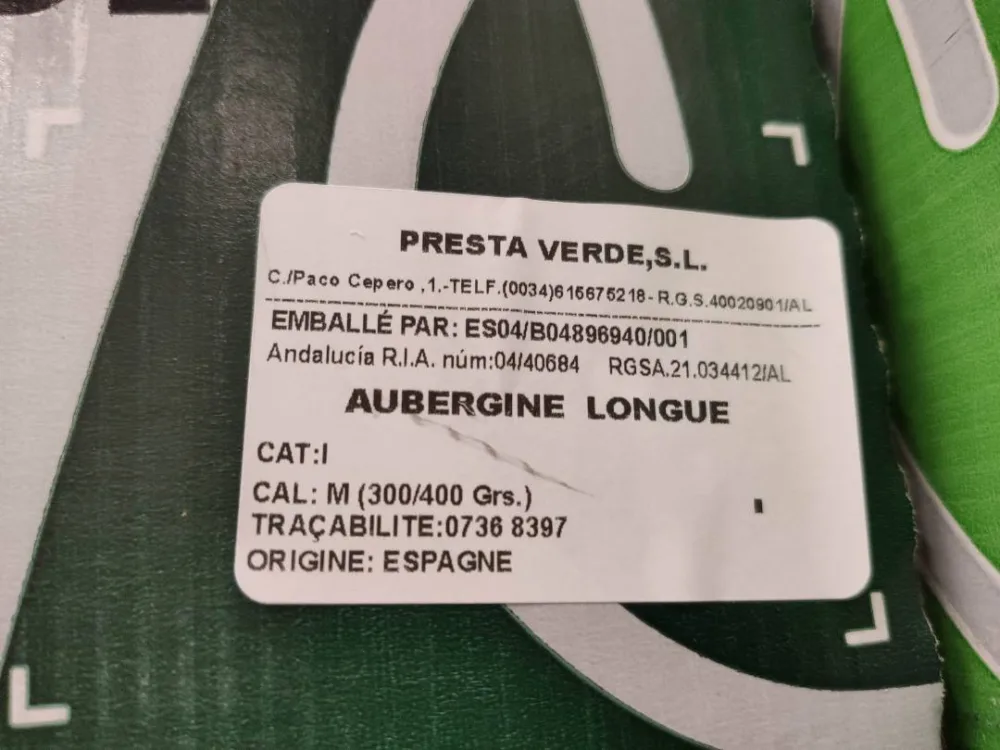 Aubergine