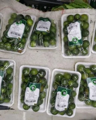 VN: Quat/Tac, Eng: Kumquat/ Calamansi, Ger: Kumquat