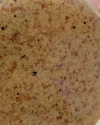 Kania Hořčice kremžská