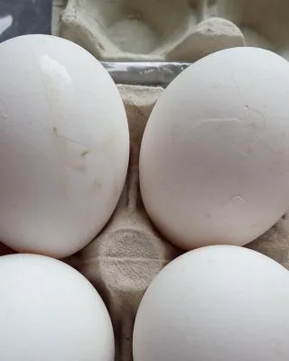 čerstvá vejce podestýlková 30